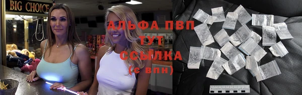 индика Белокуриха