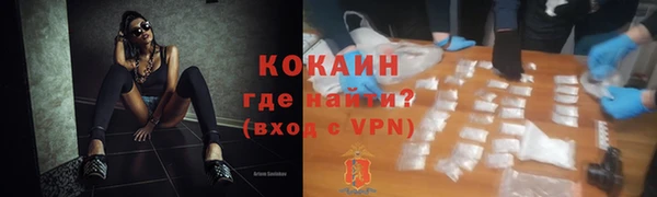 индика Белокуриха