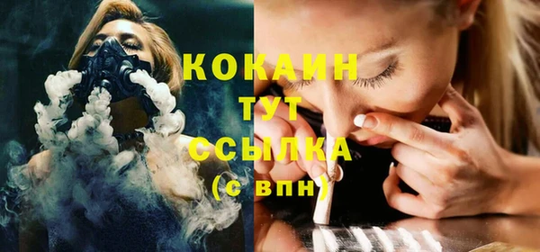 индика Белокуриха