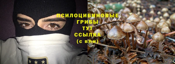 винт Беломорск